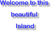 wel1.gif (3532 Byte)
